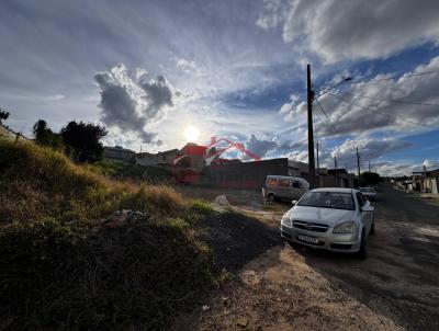 Lote para Venda, em Irati, bairro Jardim Virg�nia