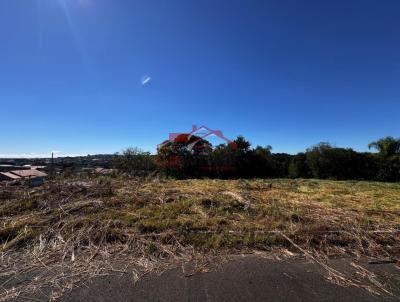 Lote para Venda, em Irati, bairro Vila Verde