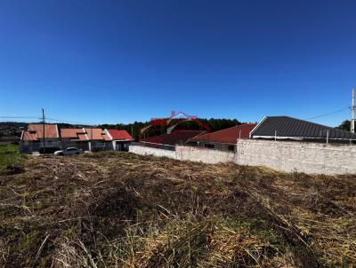 Lote para Venda, em Irati, bairro Vila Verde