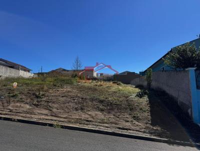 Lote para Venda, em Irati, bairro Vila Verde