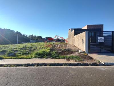 Lote para Venda, em Irati, bairro S�o Pedro