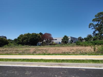Lote para Venda, em Irati, bairro Jardim Aeroporto