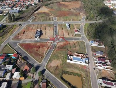 Lote para Venda, em Irati, bairro S�o Pedro
