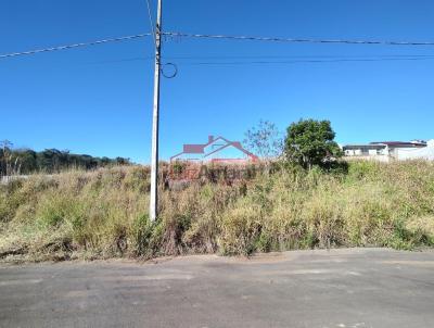 Lote para Venda, em Irati, bairro Vila Verde
