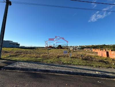 Lote para Venda, em Irati, bairro S�o Francisco