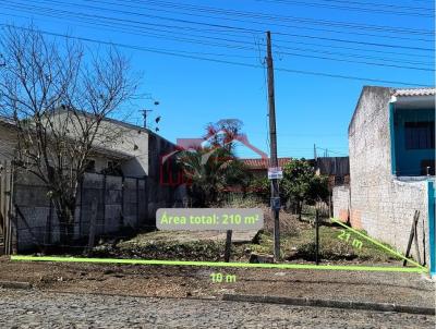 Lote para Venda, em Irati, bairro Vila Matilde