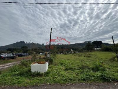 Lote para Venda, em Irati, bairro PEDREIRA
