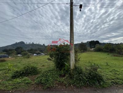 Lote para Venda, em Irati, bairro PEDREIRA