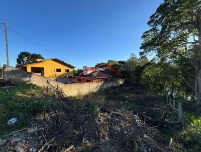 Lote para Venda, em Irati, bairro PEDREIRA