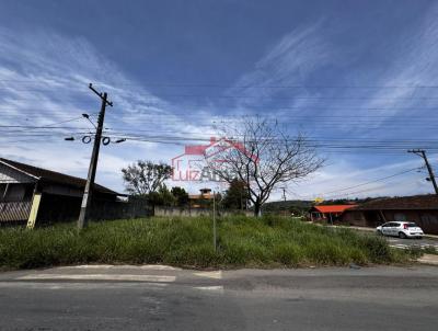 Lote para Venda, em Irati, bairro RIOZINHO